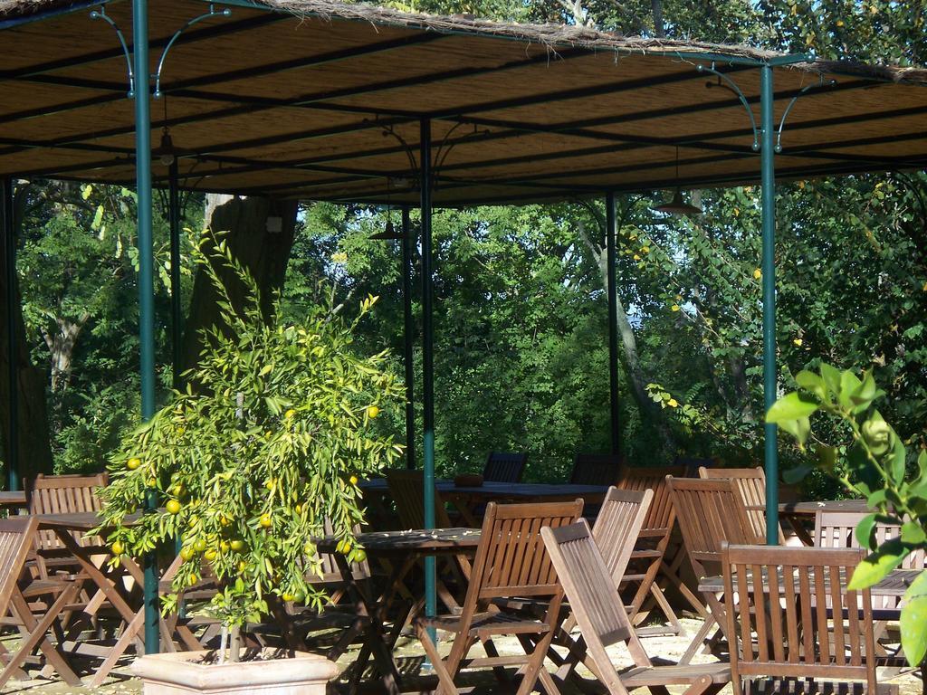 סן ג'ימיניאנו Torraccia Di Chiusi Agriturismo Relais מראה חיצוני תמונה