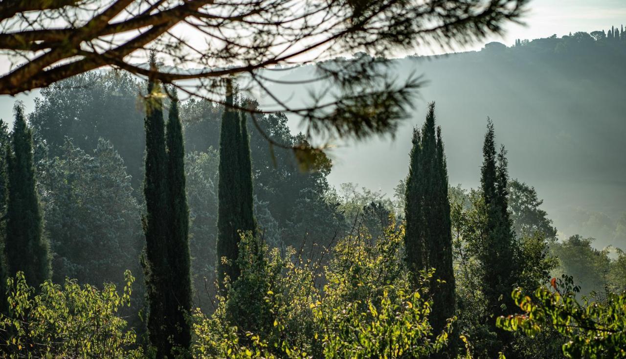 סן ג'ימיניאנו Torraccia Di Chiusi Agriturismo Relais מראה חיצוני תמונה